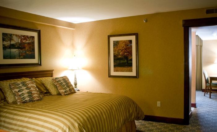 Wisp Resort Hotel And Conference Center マクヘンリー エクステリア 写真